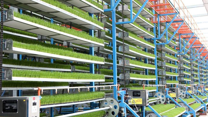 Musim baru pertanian di seluruh China dimulai. Teknologi pertanian cerdas ini dapat membantu para petani untuk meningkatkan hasil panen.