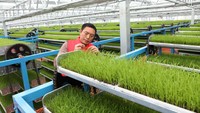 Hal tersebut untuk mencapai manfaat gudang multiguna, ekonomi, ekologi dan sosial sangat jelas.
