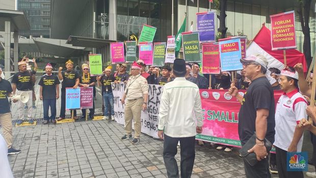 Puluhan Petani Sawit Demo Tolak UU Deforestasi Uni Eropa. (CNBC Indonesia/Martyasari Rizky )