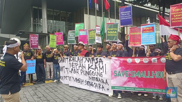 Puluhan Petani Sawit Demo Tolak UU Deforestasi Uni Eropa. (CNBC Indonesia/Martyasari Rizky )