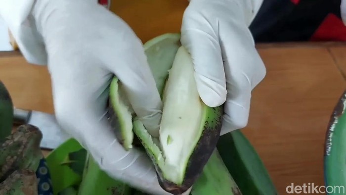 Santriwati di Pasuruan Sulap Limbah Kulit Pisang Jadi Stik Gurih-Renyah