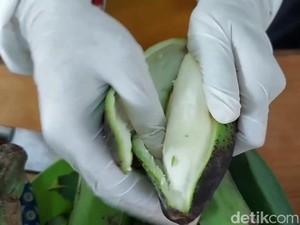 Kulit Buah Ini Bisa Diolah Jadi Makanan yang Kaya Gizi