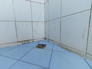 Ini Biang Kerok Jamur Tumbuh di Kamar Mandi