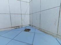 3 Bahan Ampuh untuk Bersihkan Lumut di Kamar Mandi