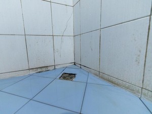 3 Cara Ampuh Bersihkan Lumut di Kamar Mandi, Gampang!