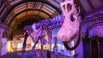 Potret Kerangka Patagotitan mayorum, Dinosaurus Terbesar yang Pernah Ditemukan