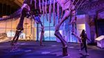 Potret Kerangka Patagotitan mayorum, Dinosaurus Terbesar yang Pernah Ditemukan