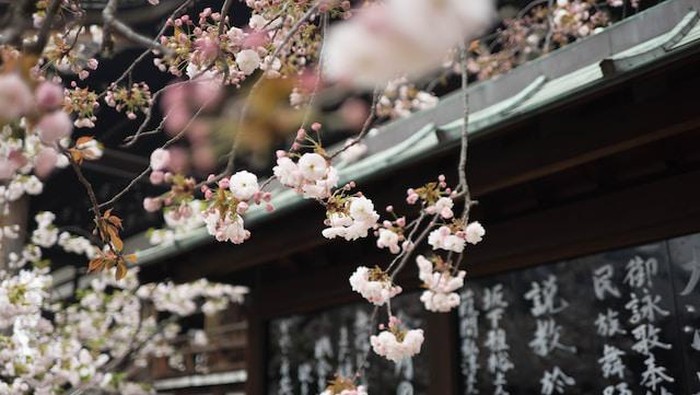 Kosa kata bahasa Jepang