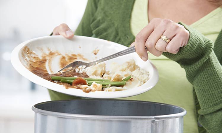 Bikin Jengkel, Tetangga Ini Hobi Beri Makanan Basi dan Bau