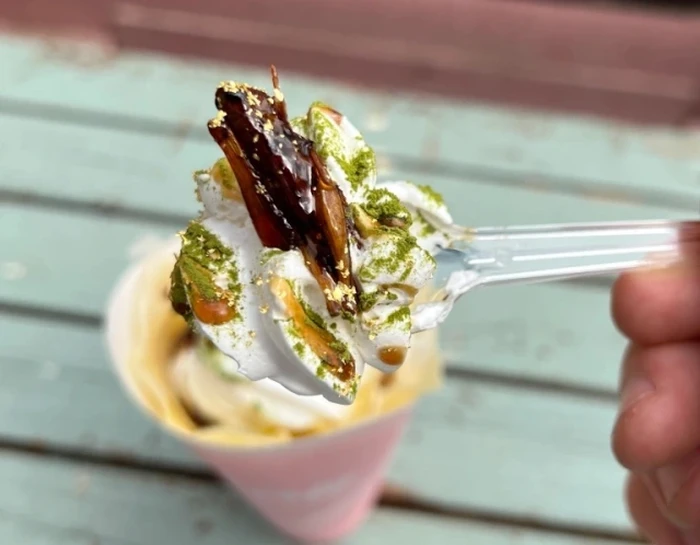 Bukan Cokelat, Crepe Ini Pakai Topping Belalang Panggang yang Renyah!