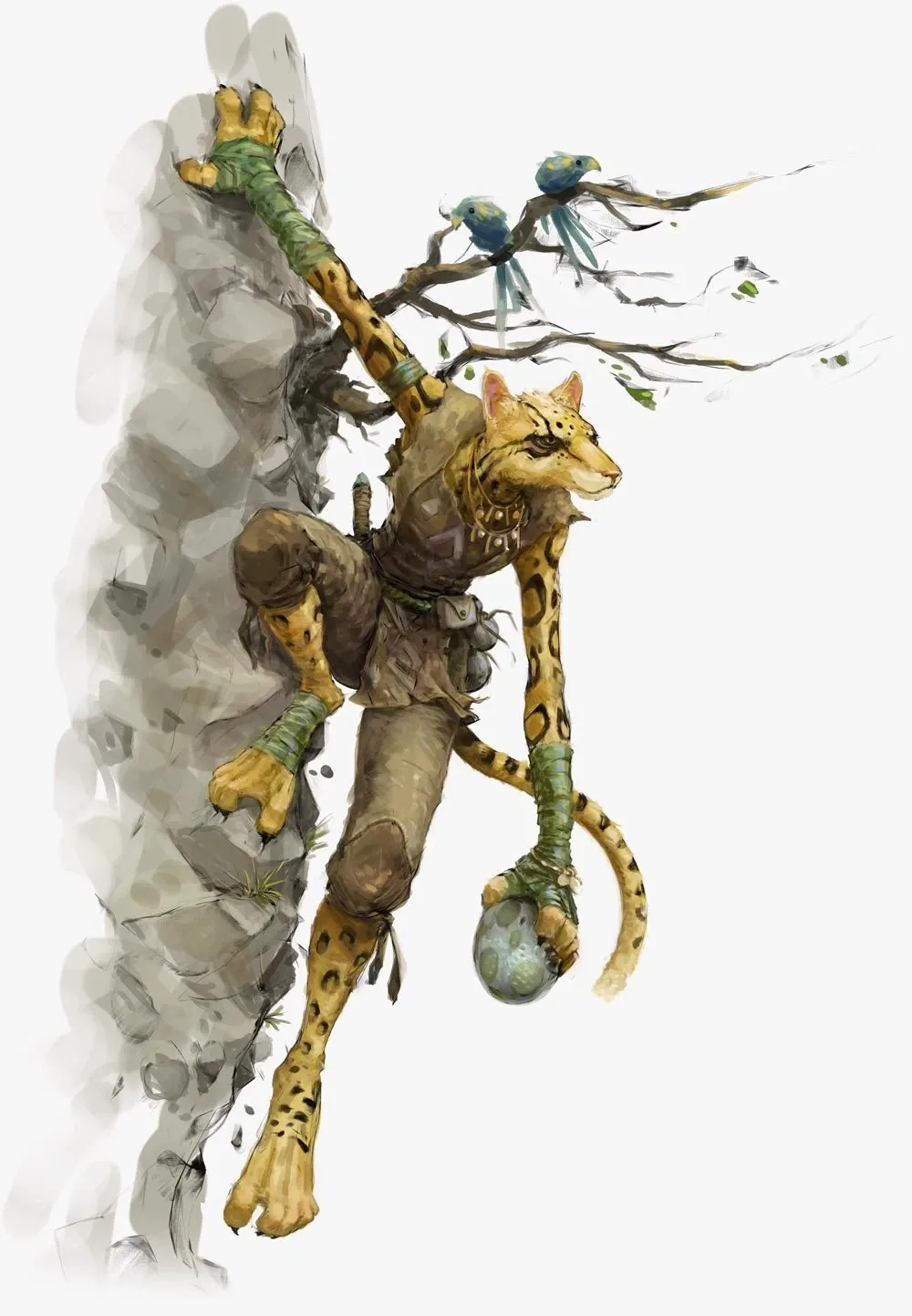Ras Tabaxi di game D&D.