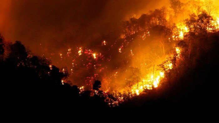 Kebakaran melanda hutan di Taman Nasional Khao Laem Thailand, Kamis (30/3/2023) waktu setempat.