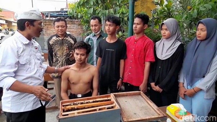 Komunitas Peternak Lebah di Kota Tegal mengajarkan soal terapi sengat lebah ke pelajar dan mahasiswa, Kamis (30/3/2023).