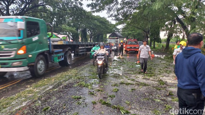 Pohon tumbang di jalan Lamongan