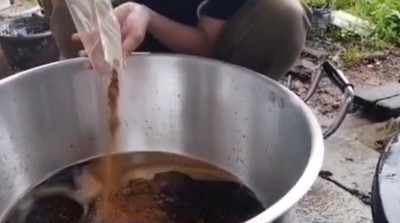 Potret Probio FM, Probiotik dari Limbah Sawit Universitas Bangka Belitung