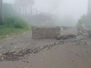 Tanah Bergerak di Sukamakmur Bogor: Penyebab hingga Daftar Kerusakan