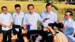 Jokowi Lantik Menpora Baru Pekan Depan