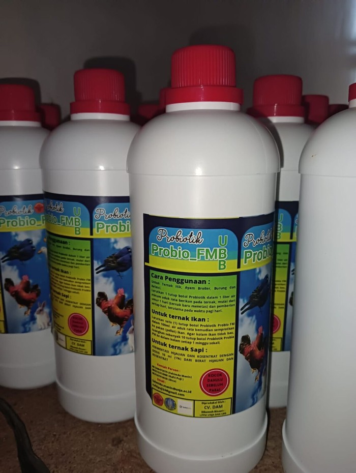 UBB hasilkan inovasi probiotik dari bungkil sawit. UBB hasilkan inovasi probiotik dari bungkil sawit.