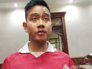 Piala Dunia U-20 Sudah Batal, Gibran Minta Maaf ke Ganjar & Koster