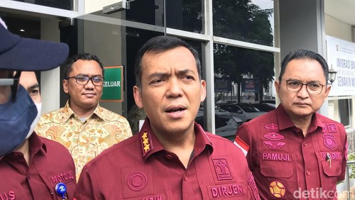 Dirjen Imigrasi Kemenkumham Silmy Karim (Firda/detikcom)