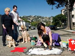 Saat Lubang Jalan Tak Diperbaiki Pemerintah Malah Jadi Objek Foto Kreatif