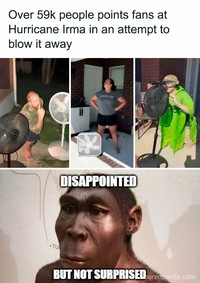 fotoinet meme evolusi