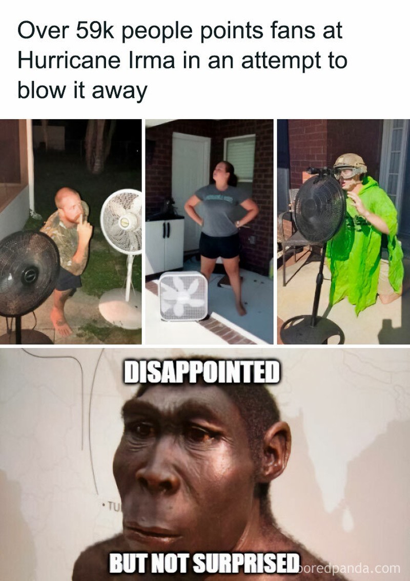 fotoinet meme evolusi