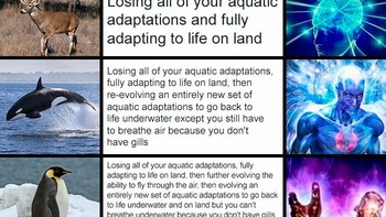 Jangan macem-macem nih sama penguin. Foto: Boredpanda