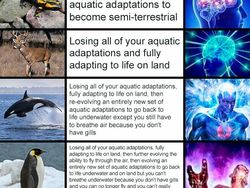 Deretan Meme Evolusi Bikin Nostalgia dan Ngakak