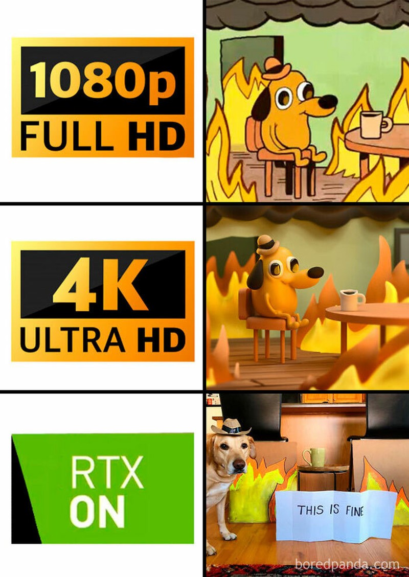 fotoinet meme evolusi