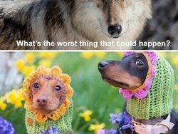 Deretan Meme Evolusi Bikin Nostalgia dan Ngakak