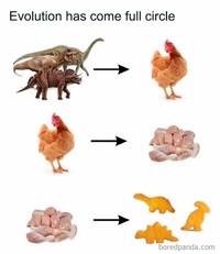 fotoinet meme evolusi