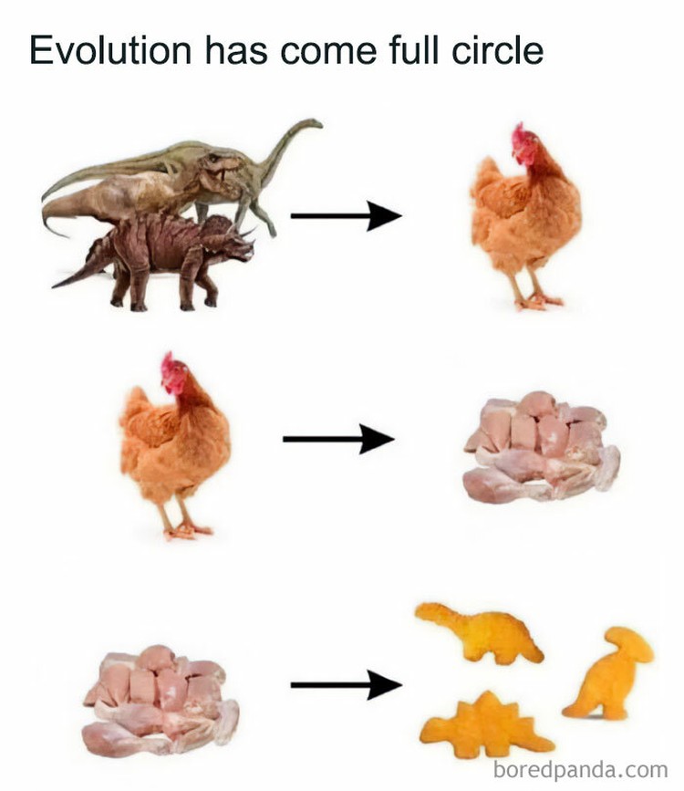 fotoinet meme evolusi