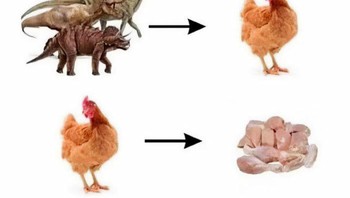 Dino dan ayam pun sekarang jadi nugget. Foto: Boredpanda