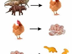 Deretan Meme Evolusi Bikin Nostalgia dan Ngakak