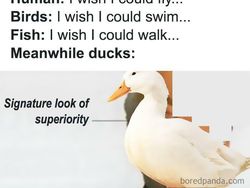 Deretan Meme Evolusi Bikin Nostalgia dan Ngakak