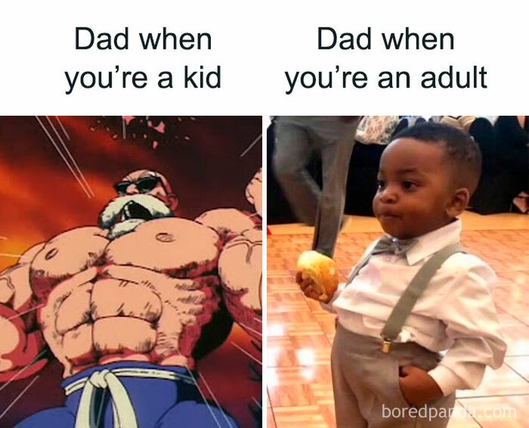 fotoinet meme evolusi