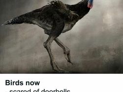 Deretan Meme Evolusi Bikin Nostalgia dan Ngakak