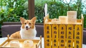 Gemas! Hotel di Hong Kong Ini Sajikan Dimsum Khusus untuk Anjing