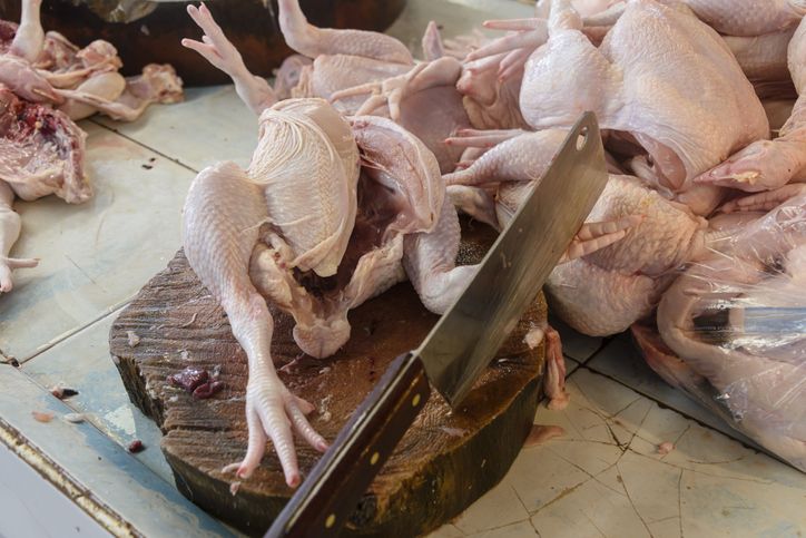 Ayam Potong yang Halal Dikonsumsi Musim Harus Memenuhi Syarat Ini