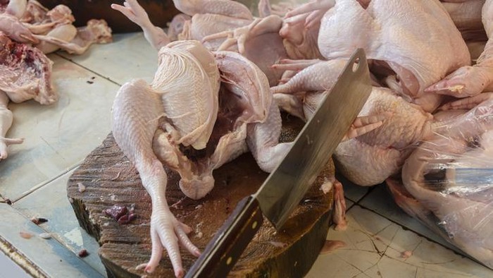 Ayam Potong yang Halal Dikonsumsi Musim Harus Memenuhi Syarat Ini