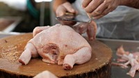 Ayam Potong yang Halal Dikonsumsi Musim Harus Memenuhi Syarat Ini