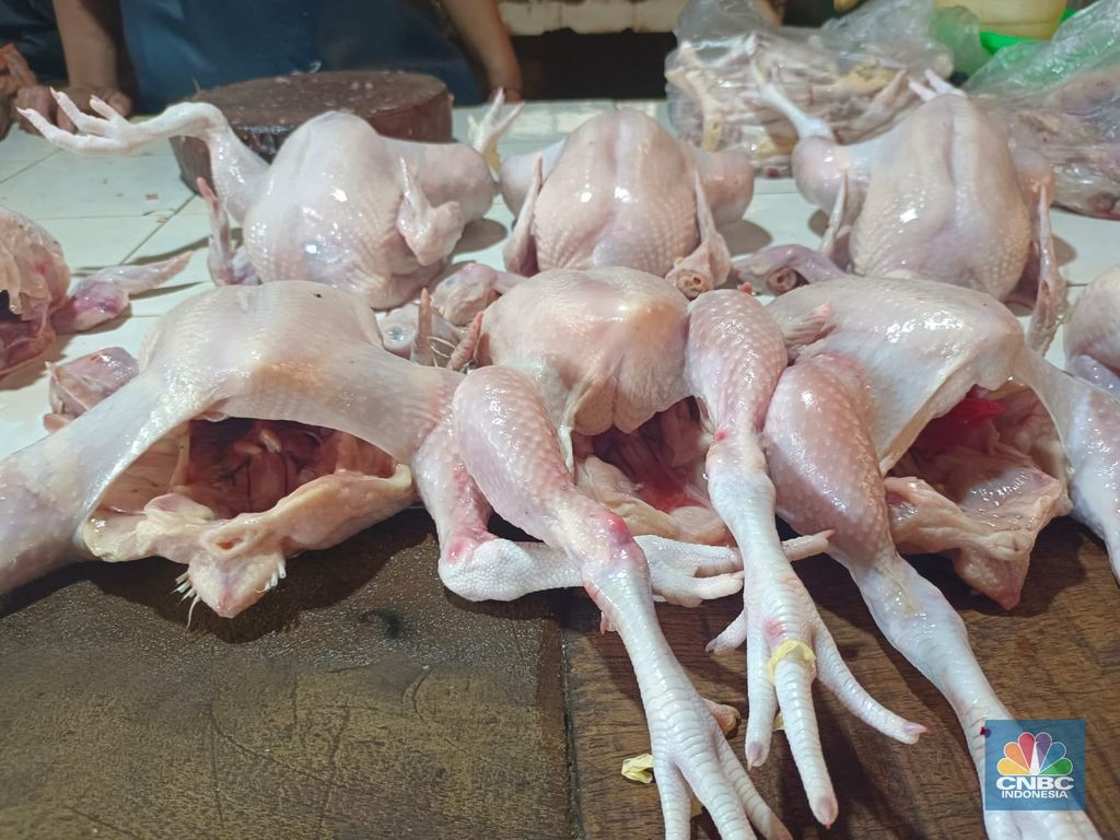 Memasuki hari ke delapan bulan puasa Ramadan, para pedagang serempak mematok harga ayam per ekornya untuk ukuran besar Rp 40.000/ekor, ukuran sedang Rp 35.000/ekor, dan ukuran kecil Rp 30.000/ekor. (CNBC Indonesia/Martyasari Rizky)