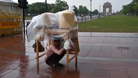 Ada yang berteduh di kotak sampah hingga di bawah meja dagangannya.  