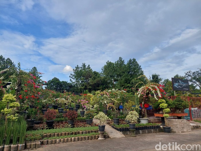 Taman Kota 2 BSD