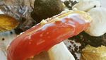 Yummy! 10 Dessert Unik Bentuk Cacing dan Puntung Rokok Ini Bisa Dimakan