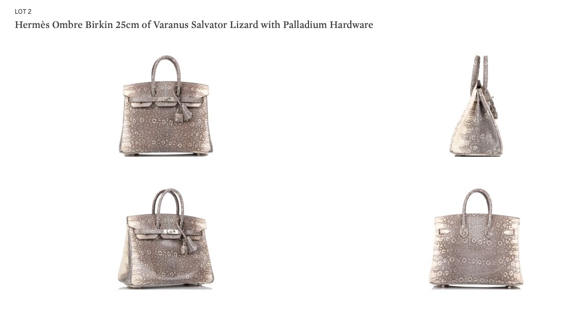 Hermes Ombre Lizard Hermès Ombre Birkin 25cm of Varanus Salvator Lizard with Palladium Hardware