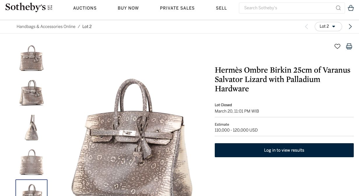 Hermes Ombre Lizard Hermès Ombre Birkin 25cm of Varanus Salvator Lizard with Palladium Hardware