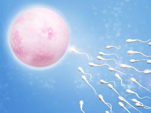 Lahir dari Donor Sperma, Pria Ini Bingung Mencari Ayah Biologisnya