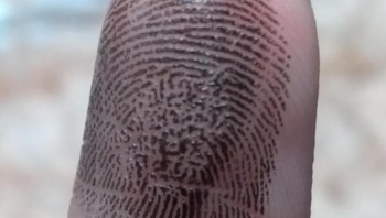 Sidik jari yang unik, bentuknya seperi QR code. Foto: Brightside